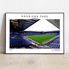 Goodison Park: A Majestic Perspective